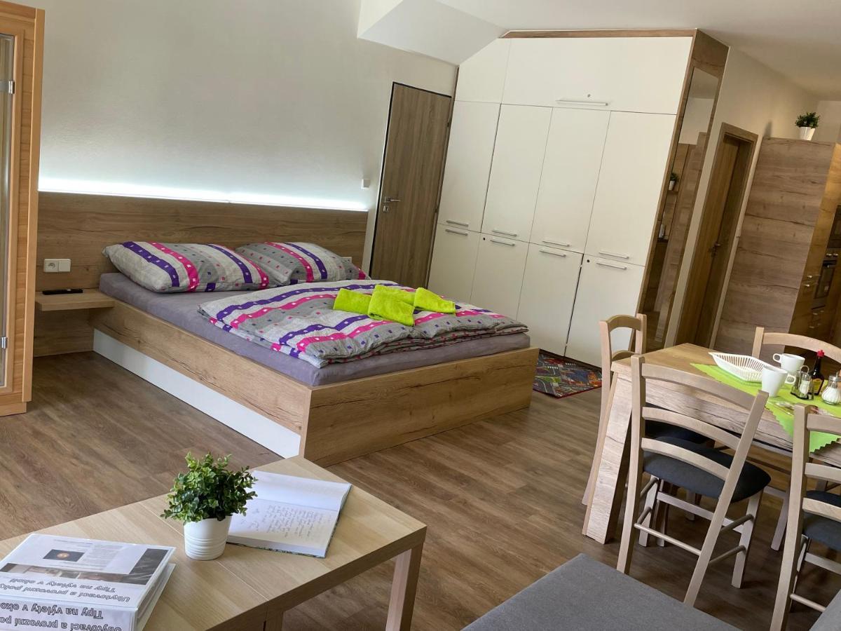 Apartment Wellness Vlckova Екстериор снимка