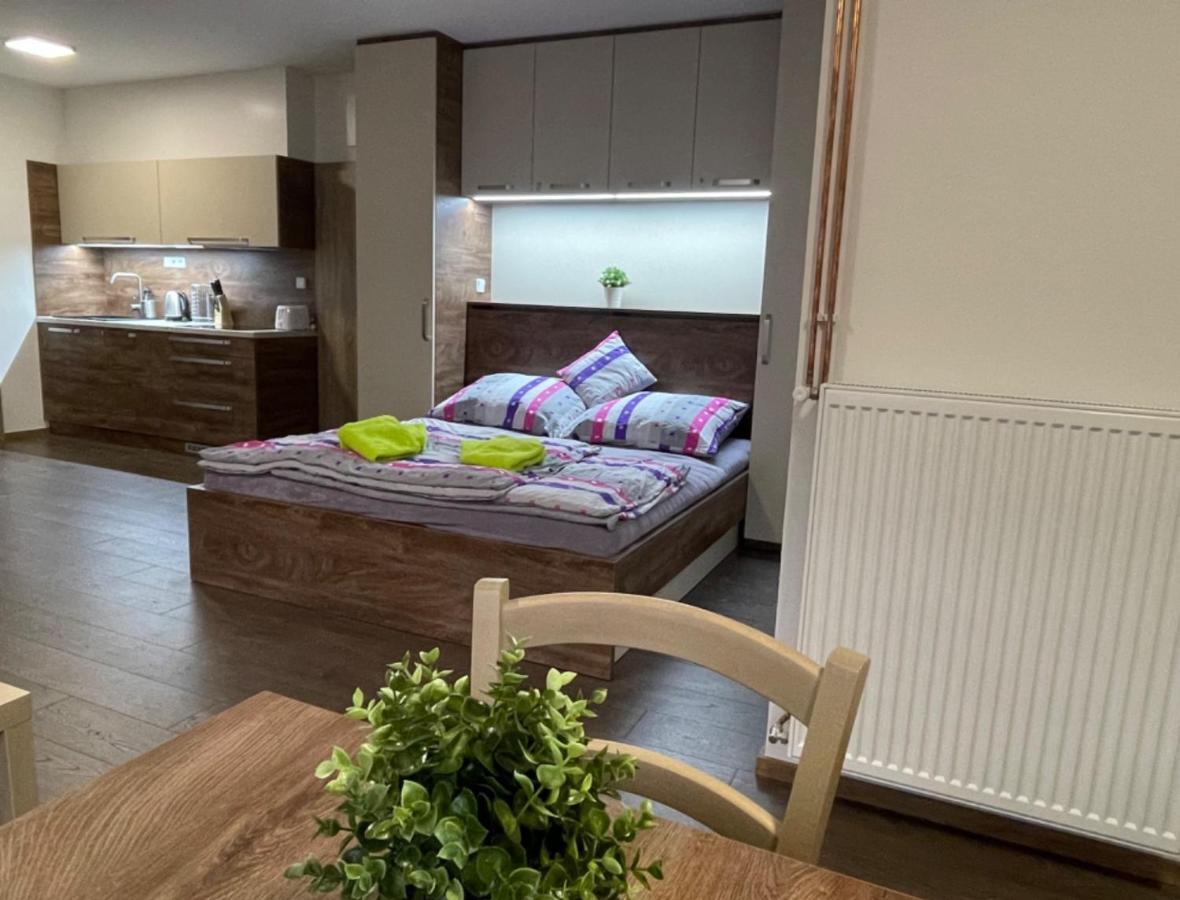 Apartment Wellness Vlckova Екстериор снимка